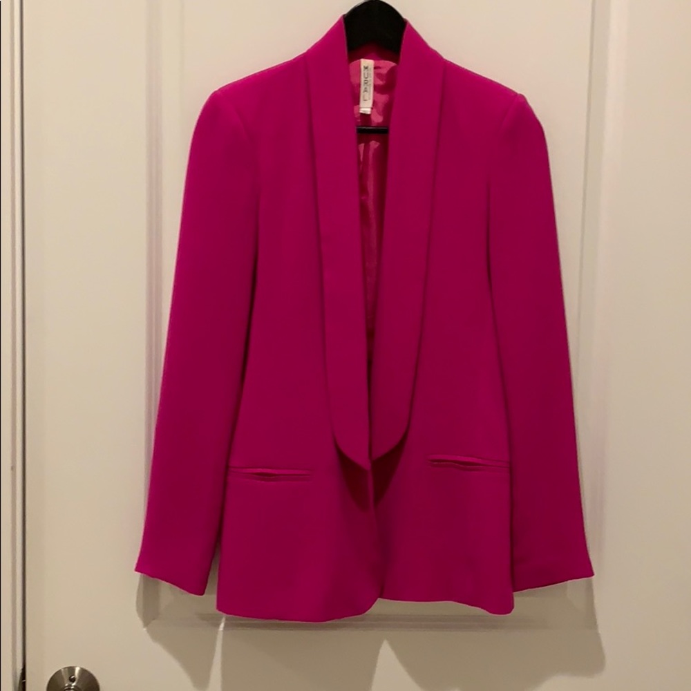 Mural blazer